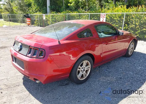 2014 Ford Mustang z USA, uszkodzony, nr VIN 1ZVBP8AM9E5230941
